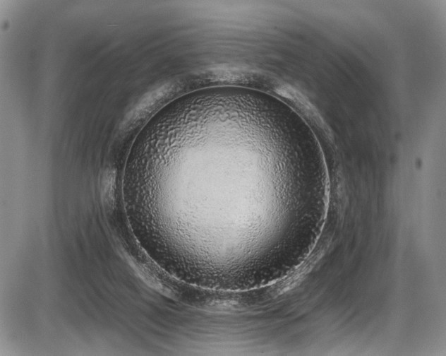 X0000087600066200704271343