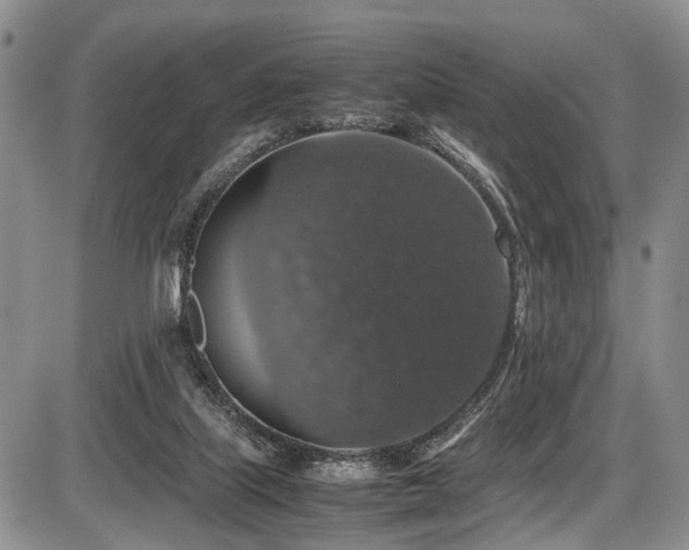 X0000087600067200704271343