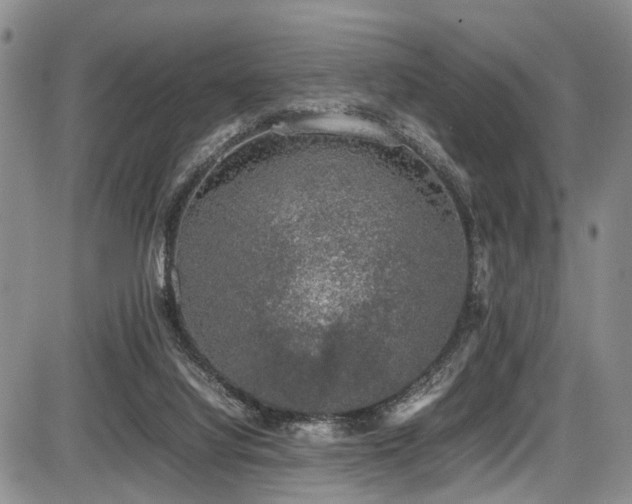 X0000087600068200704271343