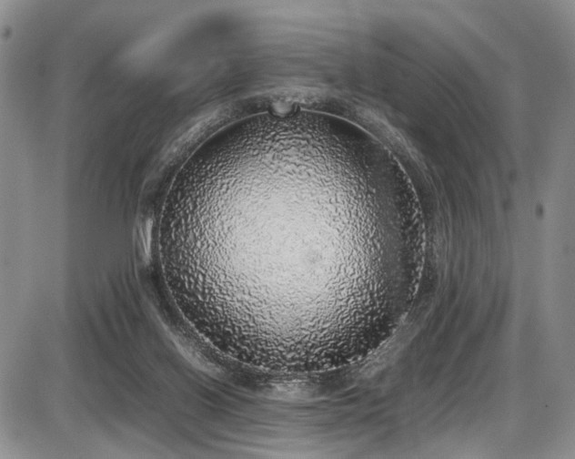 X0000087600070200704271343
