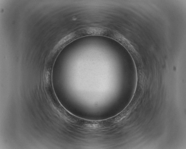 X0000087600071200704271343