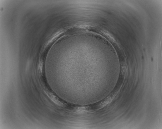 X0000087600072200704271343