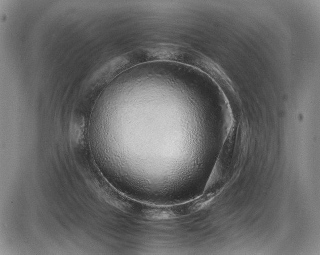 X0000087600073200704271343