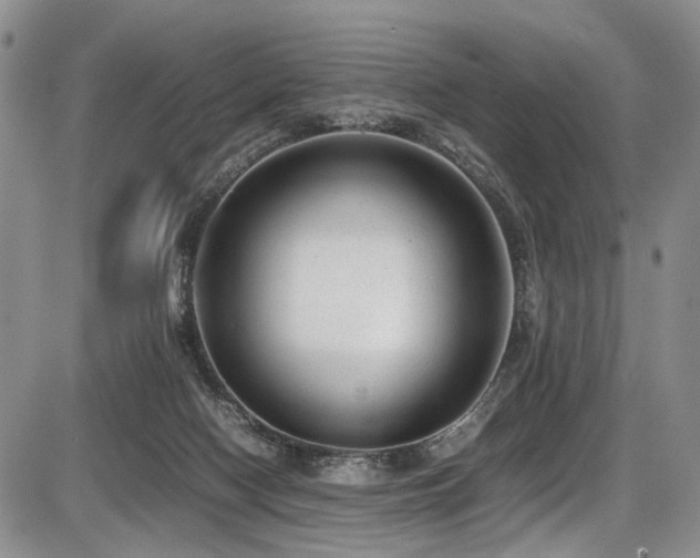 X0000087600074200704271343