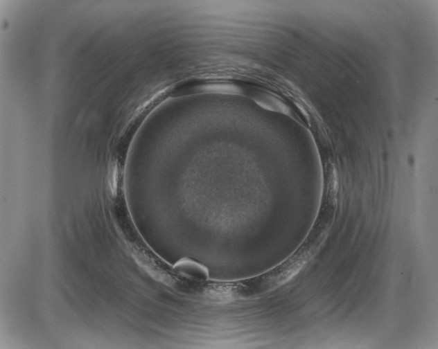 X0000087600076200704271343