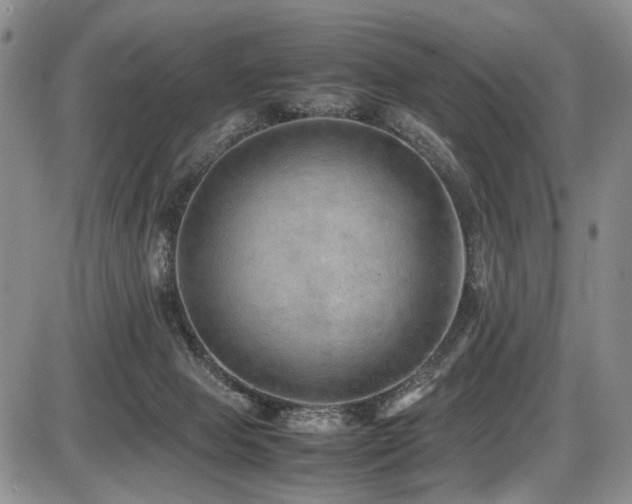 X0000087600077200704271343