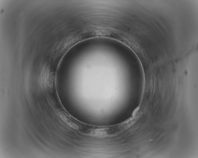X0000087600078200704271343