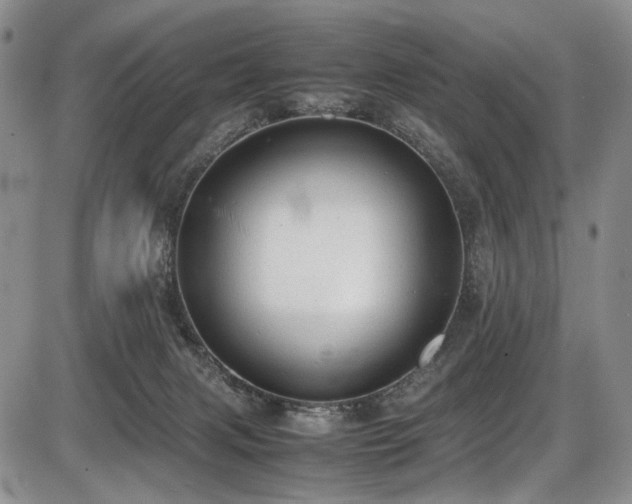 X0000087600079200704271343