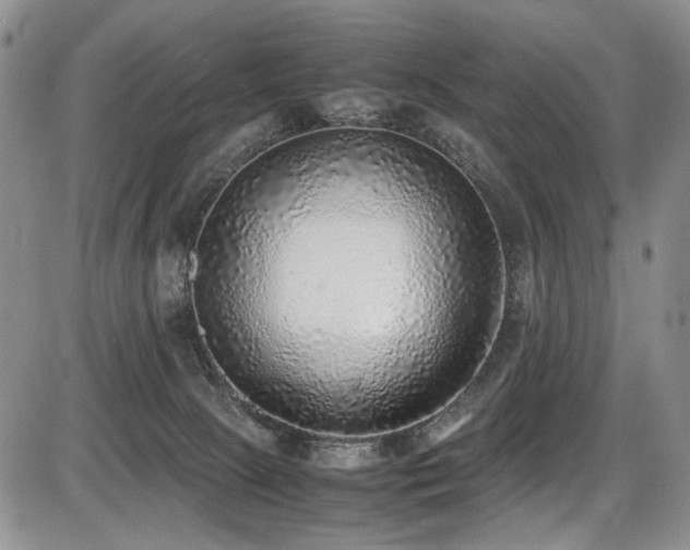 X0000087600081200704271343