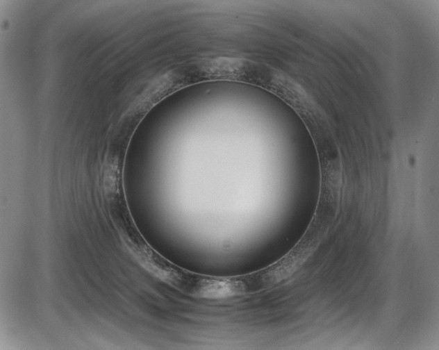 X0000087600083200704271343