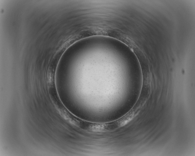 X0000087600084200704271343