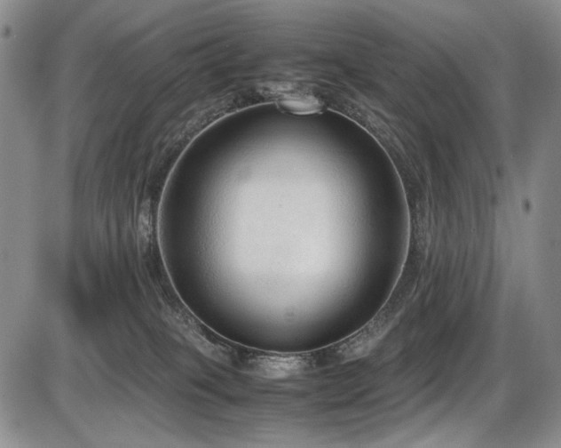 X0000087600085200704271343