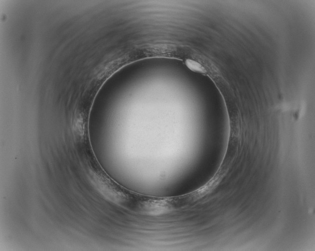 X0000087600086200704271343
