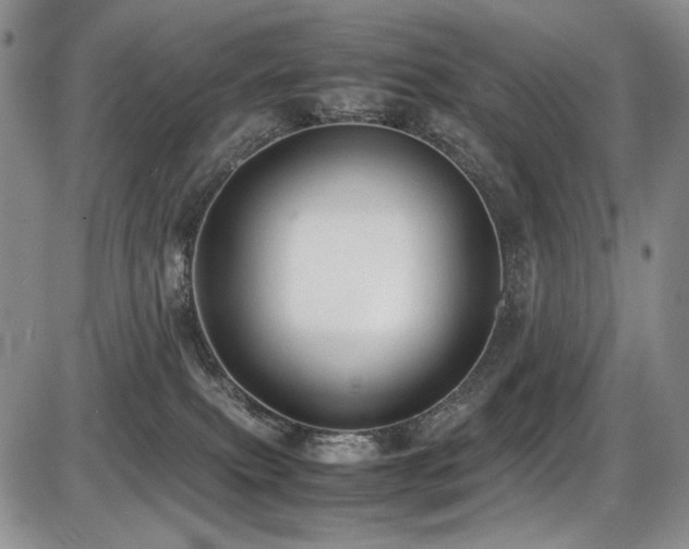 X0000087600087200704271343