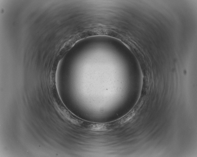 X0000087600088200704271343