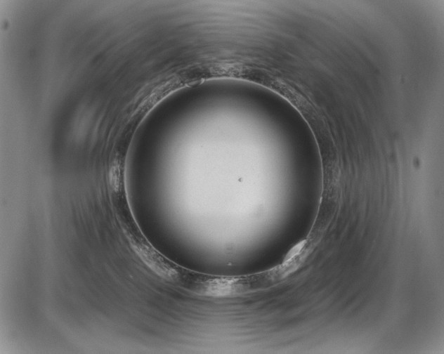 X0000087600090200704271343
