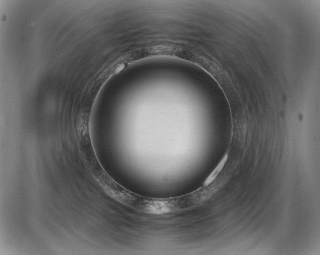 X0000087600091200704271343