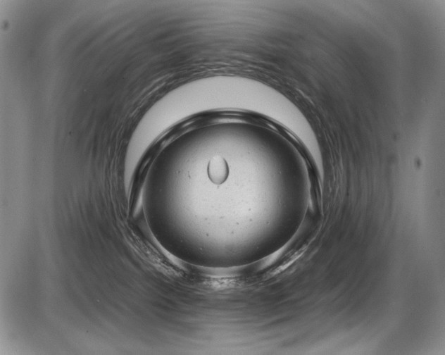 X0000087600092200704271343