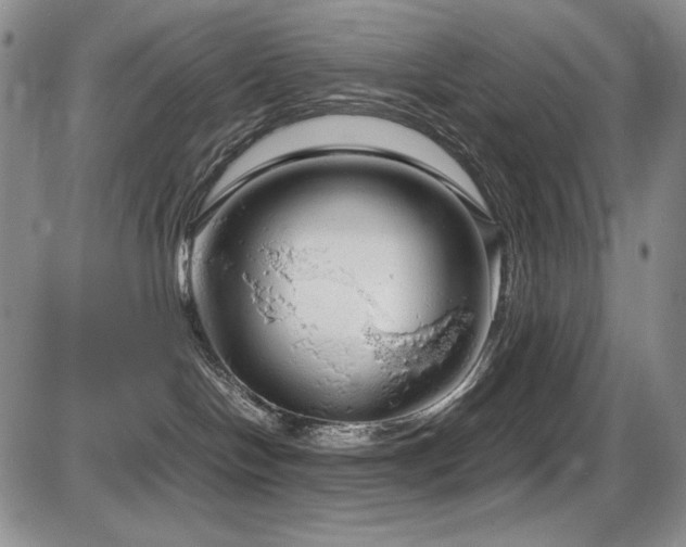 X0000087600094200704271343