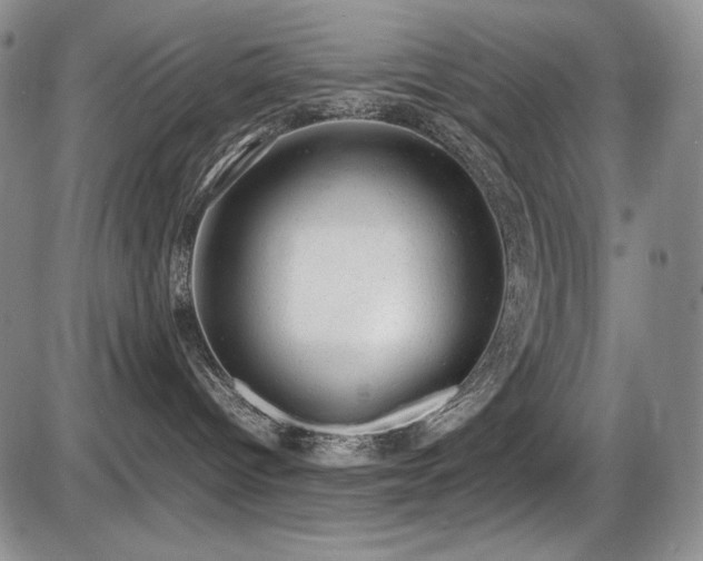 X0000087600096200704271343