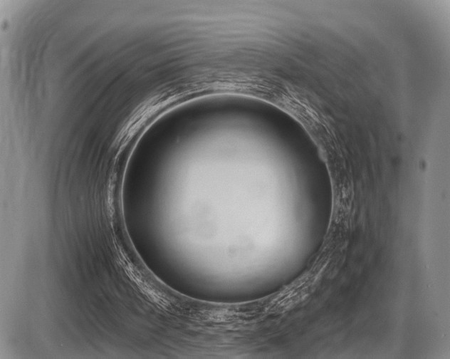 X0000087600098200704271342