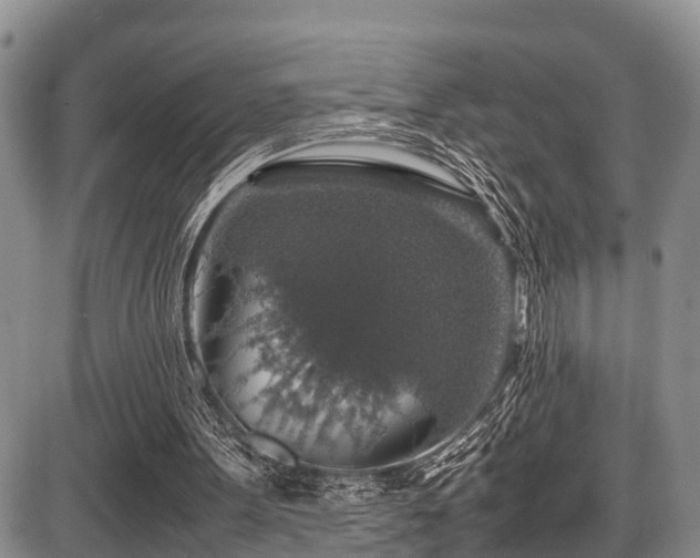 X0000087600099200704271342