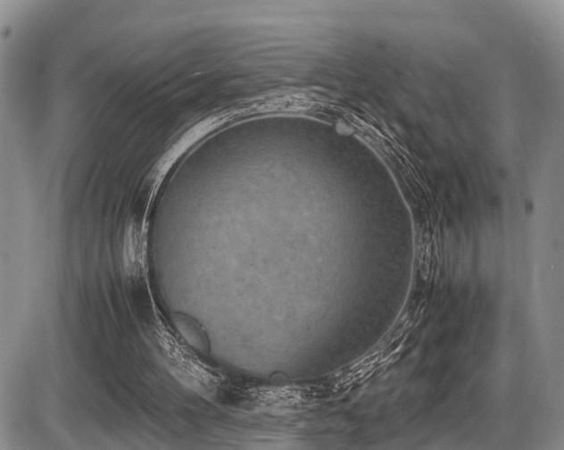 X0000087600100200704271342