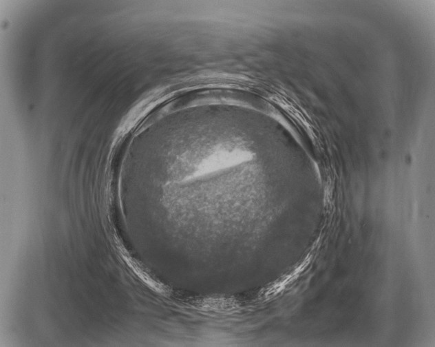 X0000087600101200704271342
