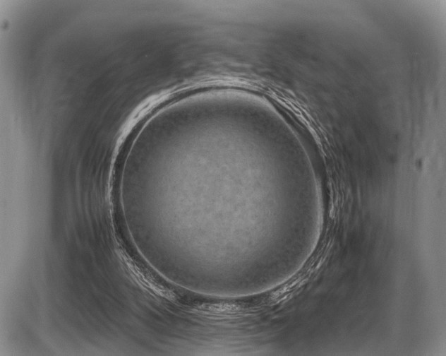 X0000087600104200704271342