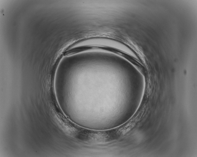 X0000087600107200704271342