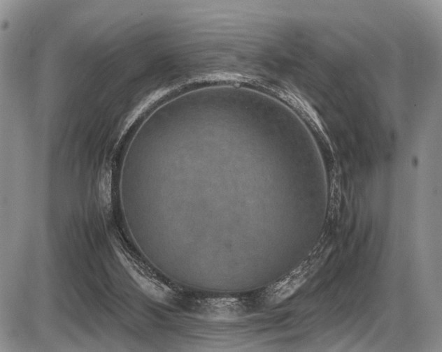 X0000087600108200704271342