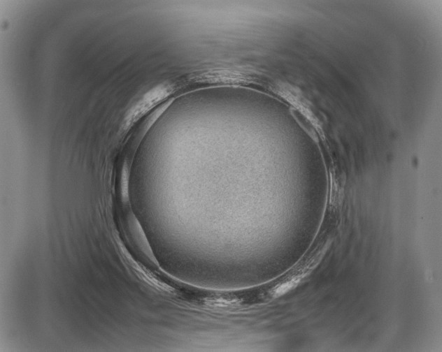 X0000087600109200704271342