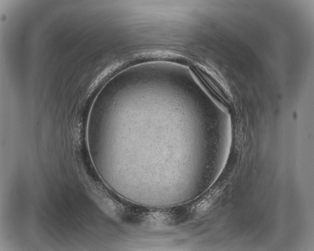 X0000087600111200704271342