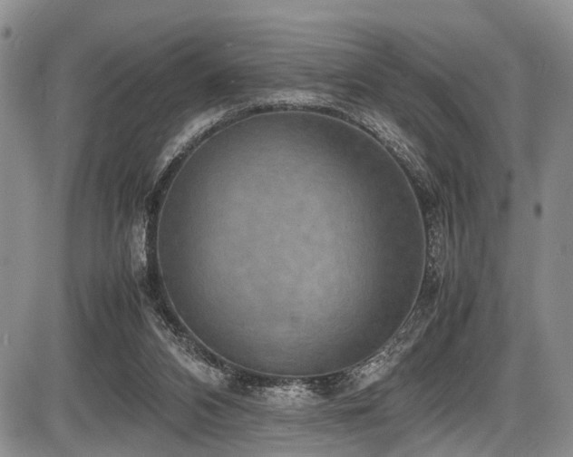 X0000087600112200704271342
