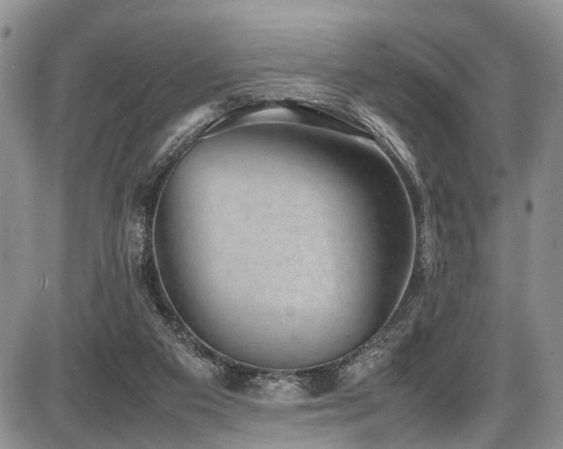 X0000087600113200704271342