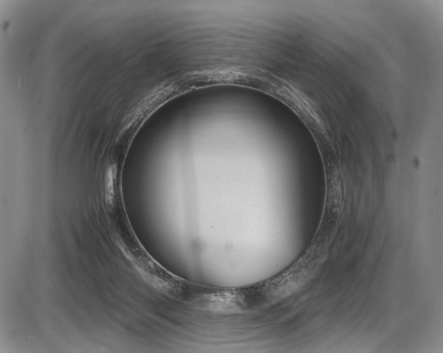 X0000087600118200704271342
