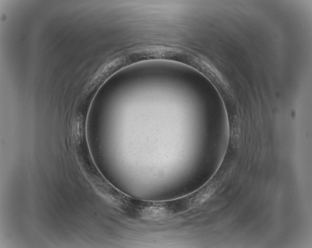 X0000087600119200704271342