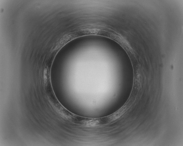 X0000087600122200704271342