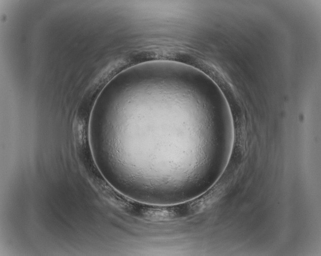 X0000087600123200704271342