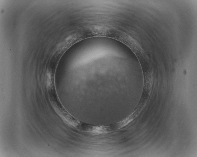 X0000087600130200704271342