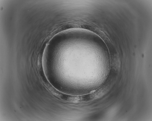 X0000087600131200704271342