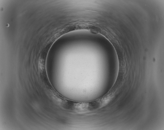 X0000087600135200704271342