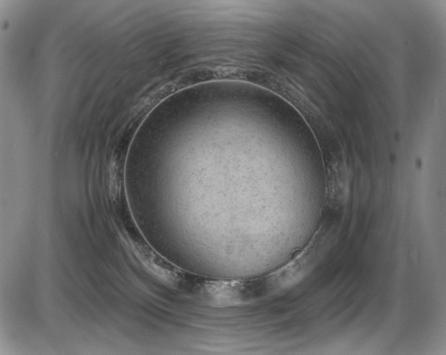 X0000087600136200704271342