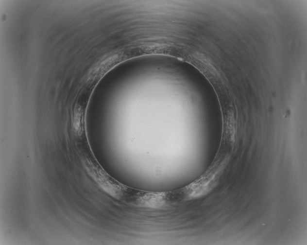 X0000087600138200704271342