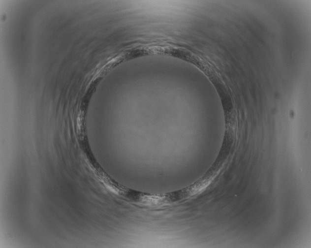 X0000087600139200704271342