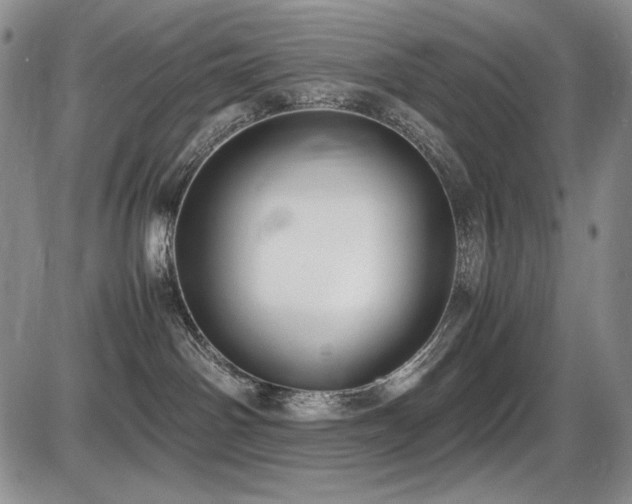 X0000087600142200704271342