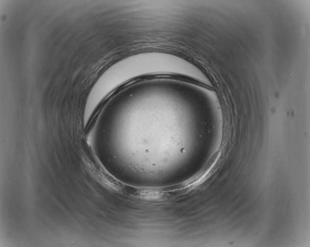 X0000087600144200704271341