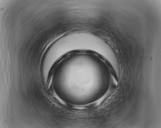 X0000087600146200704271341