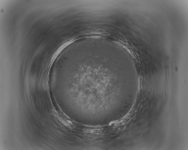 X0000087600147200704271341