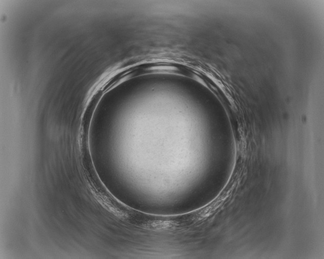 X0000087600152200704271341